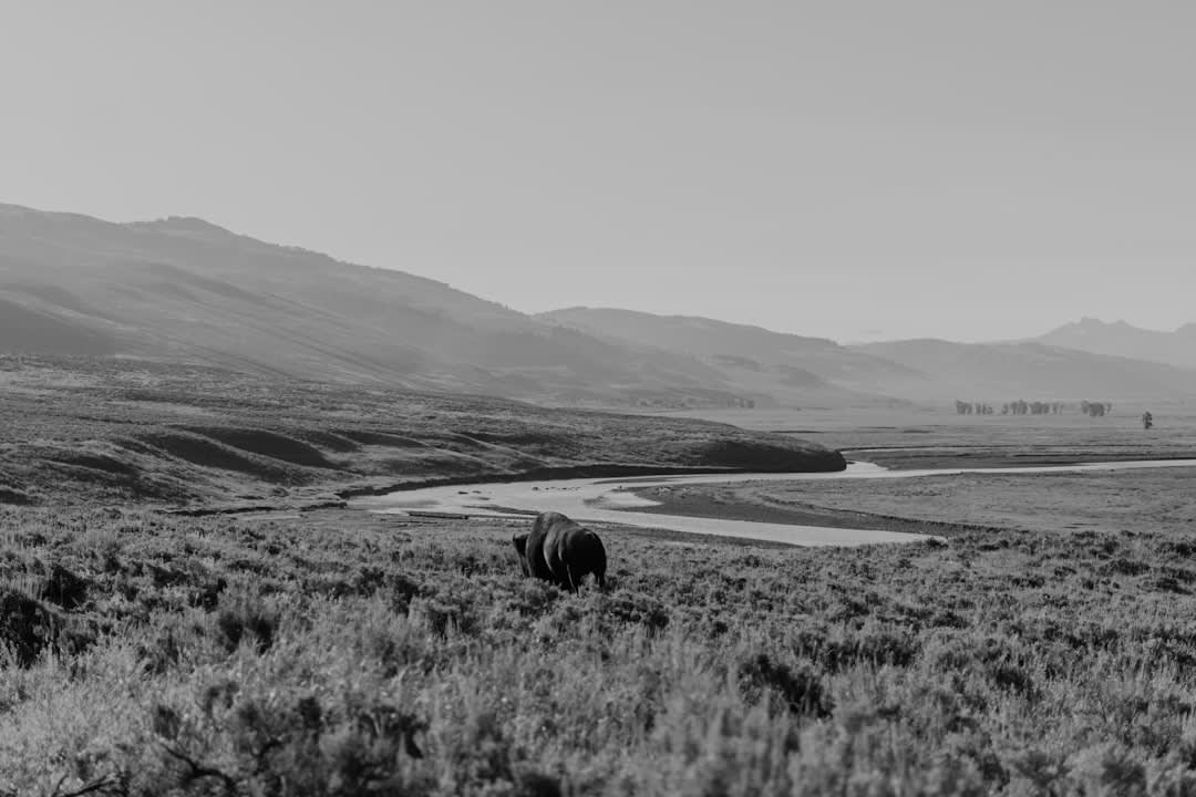 The weathered Moulton barn on Mormon Row with the Teton range towering behind