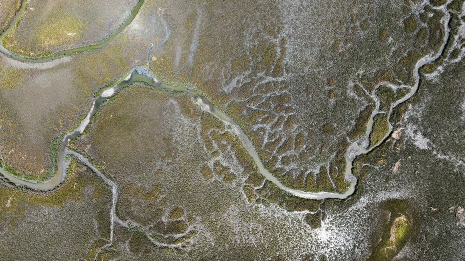 Salt marsh and sailboats along the Long Island Sound shoreline near Guilford, Connecticut