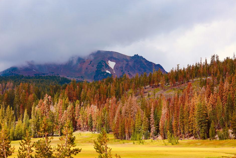 A quiet volcanic meadow with steam rising from vents beside a nearly empty mountain road