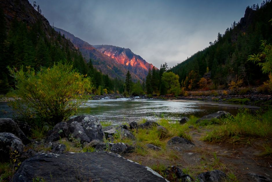 Golden autumn larches on the Cascade slopes above Leavenworth, the valley vineyards and river below in soft October light