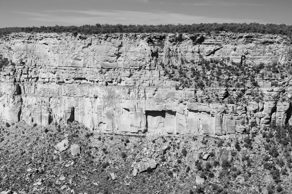 View across a green canyon to small cliff dwellings tucked in the far rock face