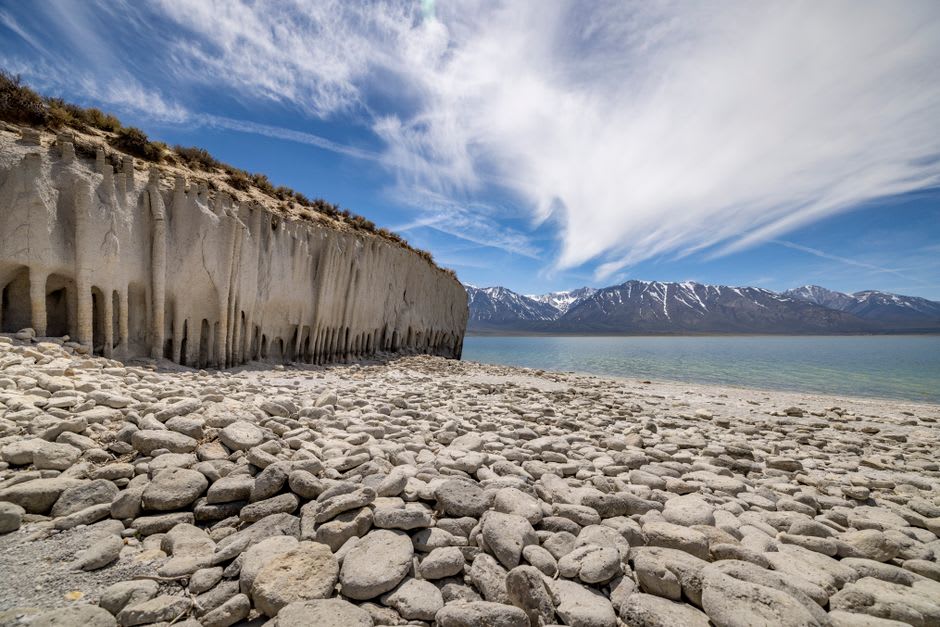 Gulls and shorebirds gathered along the salt-crusted shoreline of Mono Lake in evening light