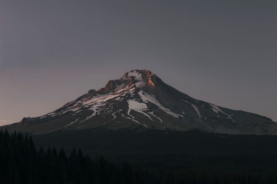 Rows of fruit orchards in the Hood River valley with the white peak of Mount Hood rising in the distance