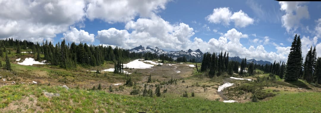 Wildflower meadows and the Skyline Trail below Mount Rainier at Paradise