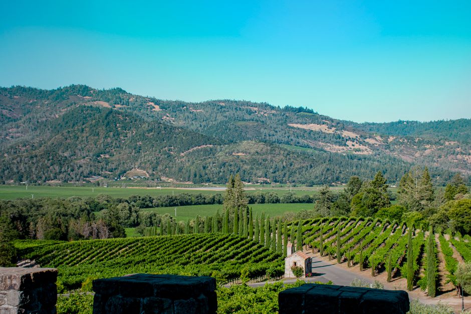 Golden dry-grass hills dotted with oaks glowing above the Napa Valley vineyards at sunset