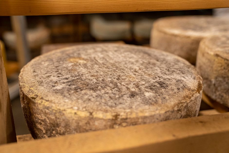 Wheels of blue cheese aging in a limestone cave beneath Nauvoo, Illinois