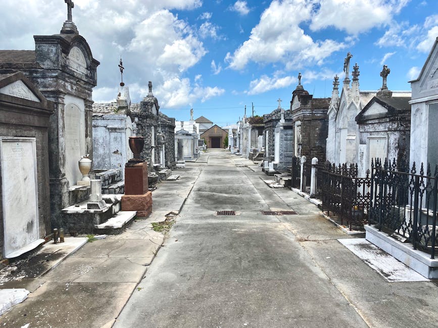 Rows of ornate above-ground tombs in a historic New Orleans cemetery
