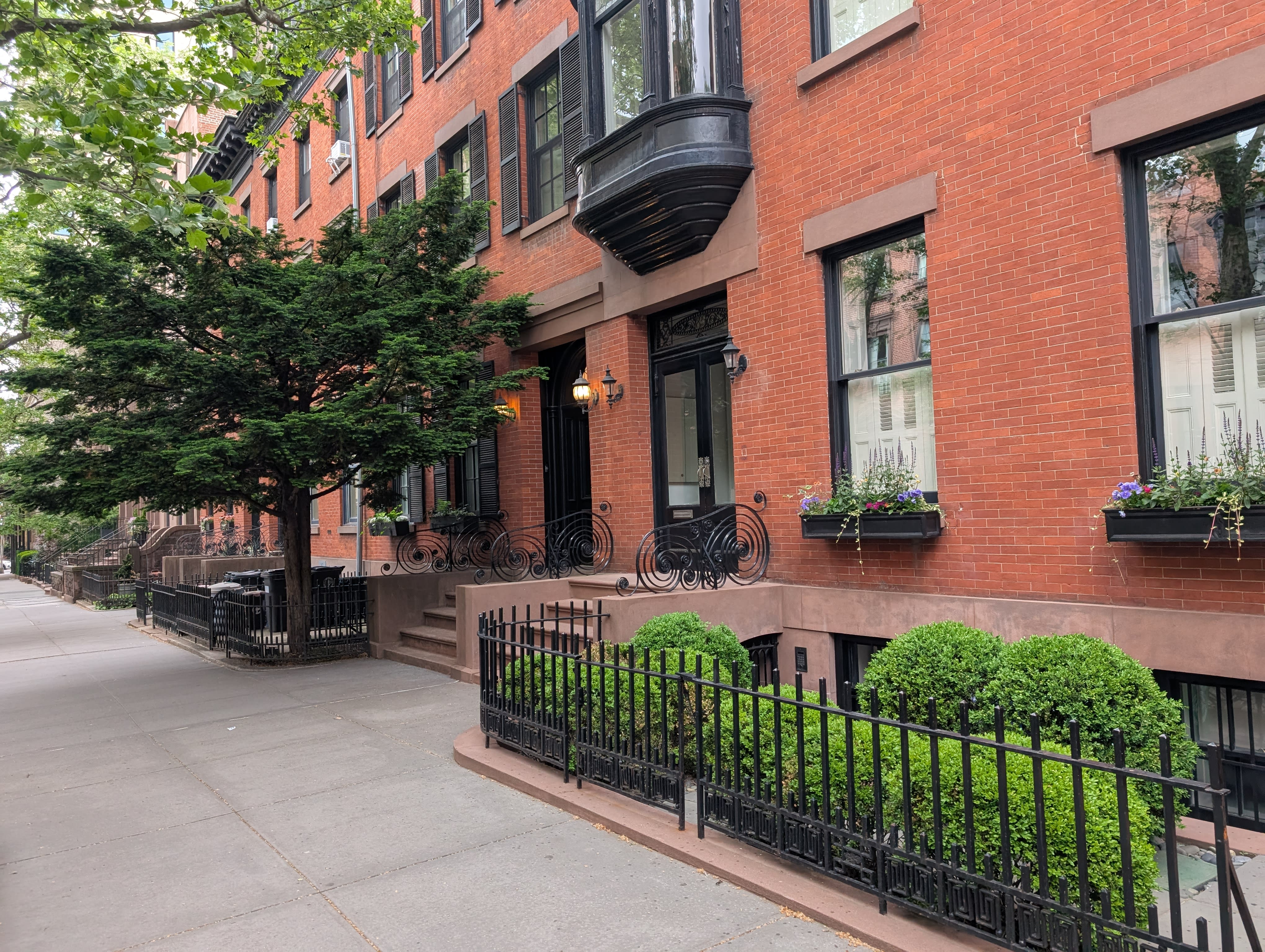 A tree-lined Brooklyn Heights street — red brick brownstones with black window frames, iron railings, trimmed boxwood hedges, flower boxes in the windows, the sidewalk empty and dappled with afternoon light