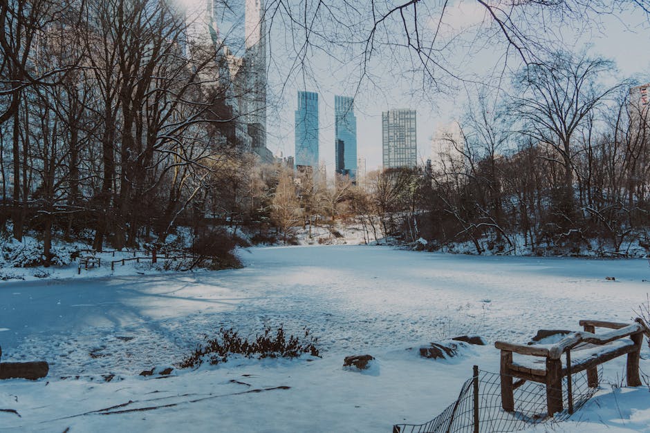 Central Park surrounded by autumn foliage with Manhattan towers in the background