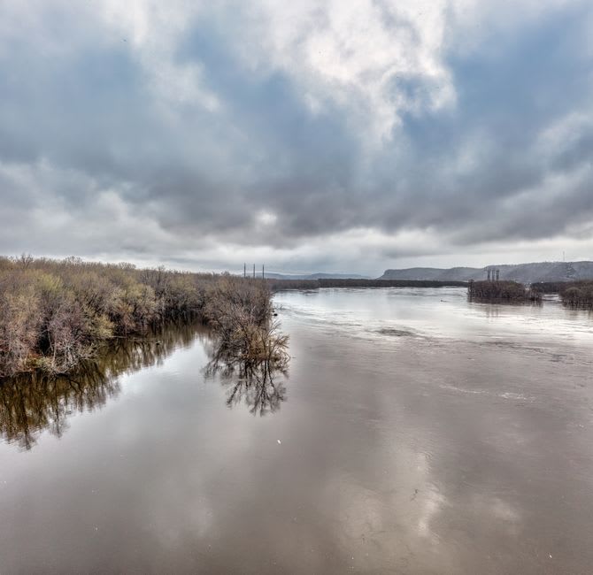 Cottonwood trees lining the Elkhorn River in Ta-Ha-Zouka Park, Norfolk, Nebraska