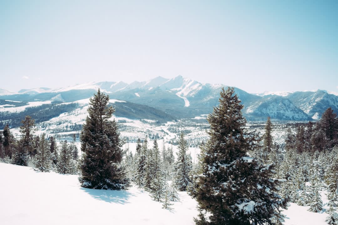 Skiers descending a wide powder run at Park City Mountain with the town visible in the valley below