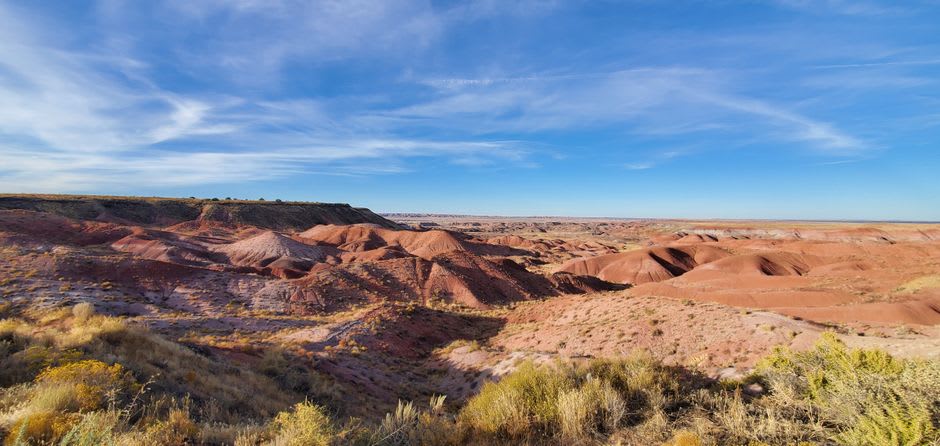 Petroglyphs of spirals and figures pecked into a dark desert-varnished boulder