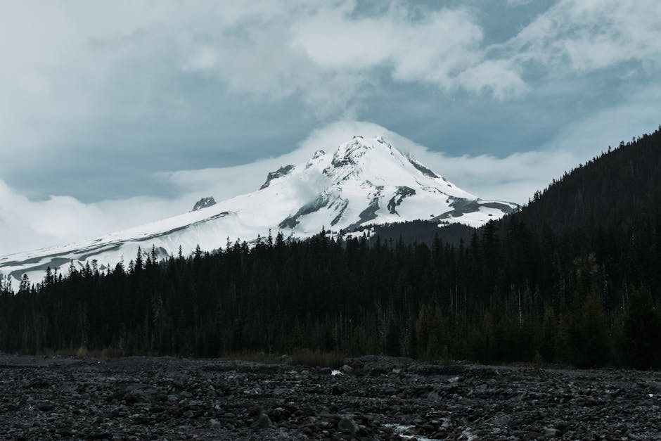 Mount Hood rising snow-capped behind green forested hills near Portland