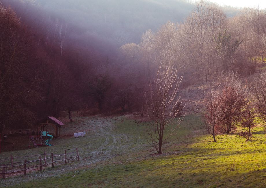 The empty stage and hillside clearing at Gobbler's Knob outside Punxsutawney, Pennsylvania in summer