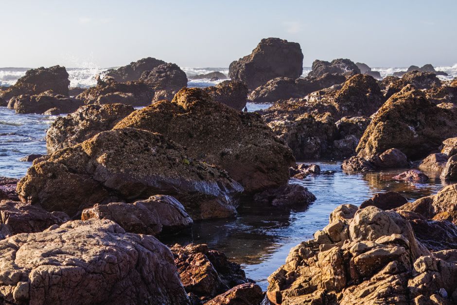 Exposed tide pools among dark rocks at Odiorne Point State Park in Rye, New Hampshire