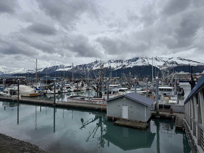 Fishing boats and mountains ringing the small-boat harbor at Seward