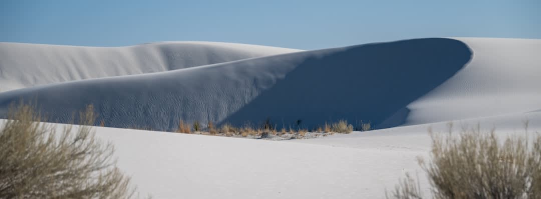 View from a high dune bluff over the vast banded blue of Lake Michigan