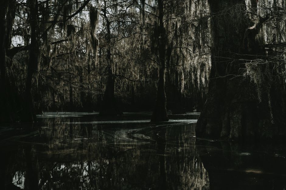 A cypress-lined channel deep in the Honey Island Swamp near Slidell, Louisiana