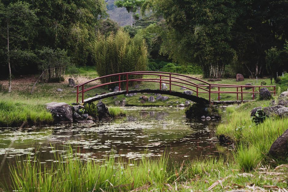 A wooden footbridge over a pond at Hatcher Garden in Spartanburg, South Carolina