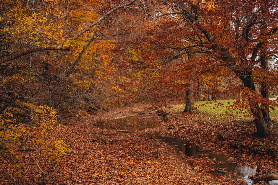 The wooded valley of Oil Creek State Park with the creek running through boomtown-era ruins near Titusville, Pennsylvania