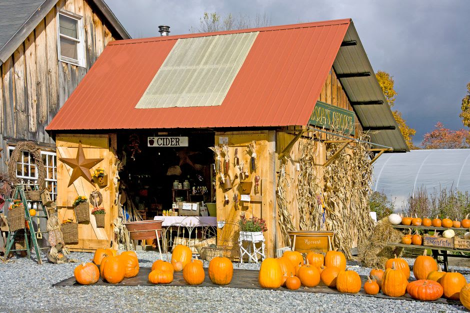 A farm stand table of local Vermont cheese and produce in the Mad River Valley