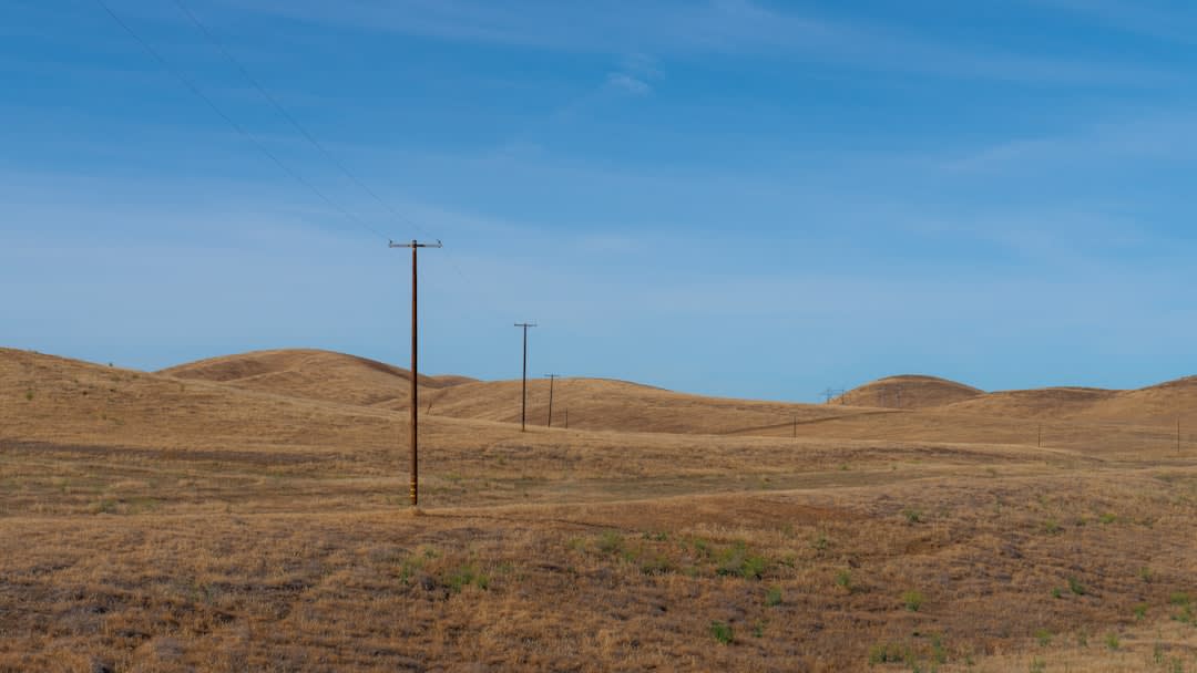 Rows of vines running toward the hazy Blue Mountains near Walla Walla