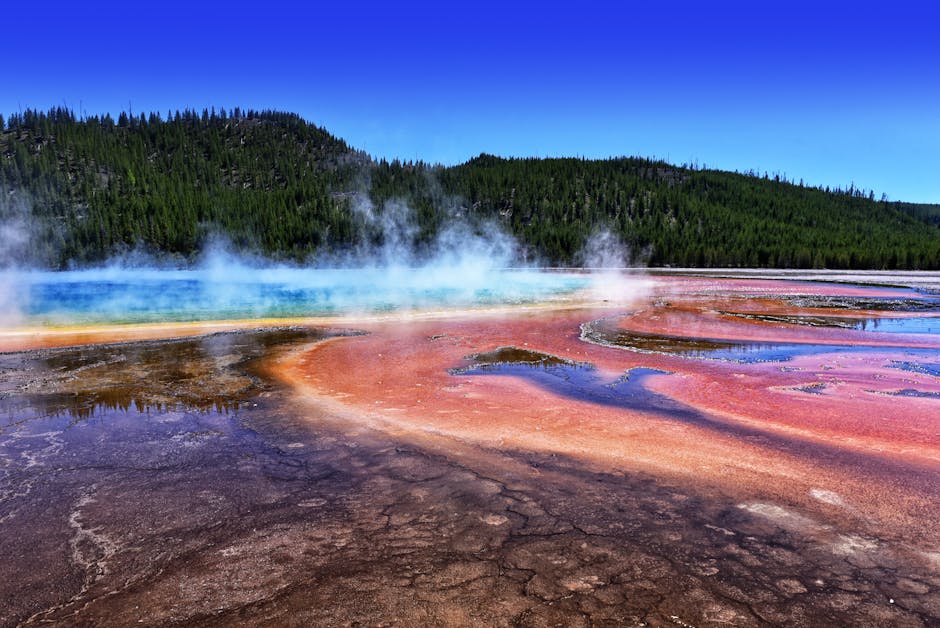 The vivid rainbow colors of Grand Prismatic Spring seen from above