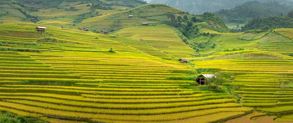 Picturesque scenery of green hills with wooden houses among rice plantations