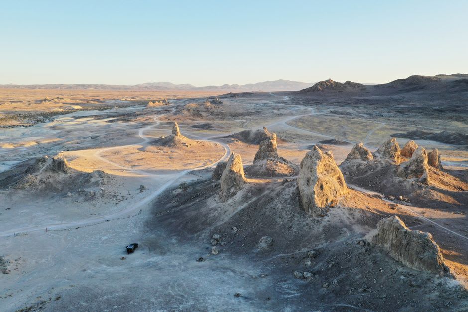 Limestone pinnacles casting long shadows across yellow sand at sunrise in Nambung National Park