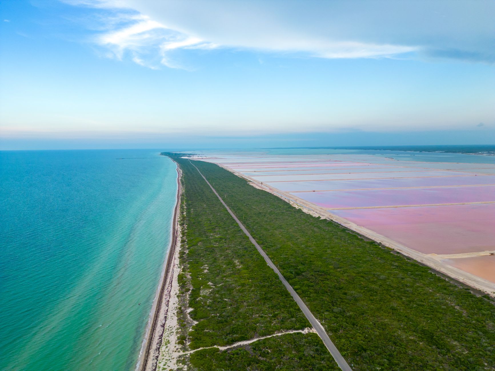 A long line of pink flamingos feeding in shallow water at dawn
