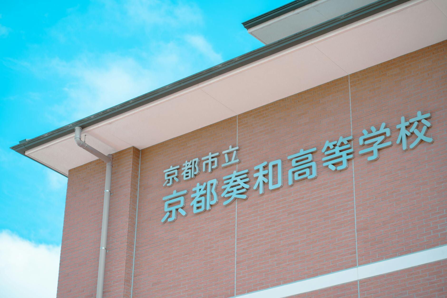 Towering bamboo stalks lining a path in Arashiyama's famous bamboo grove