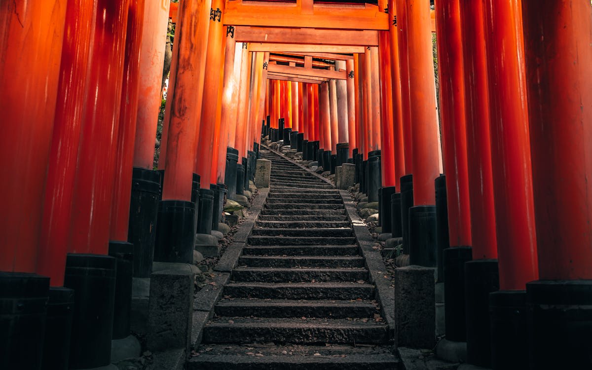The iconic torii gates of Fushimi Inari in soft morning light