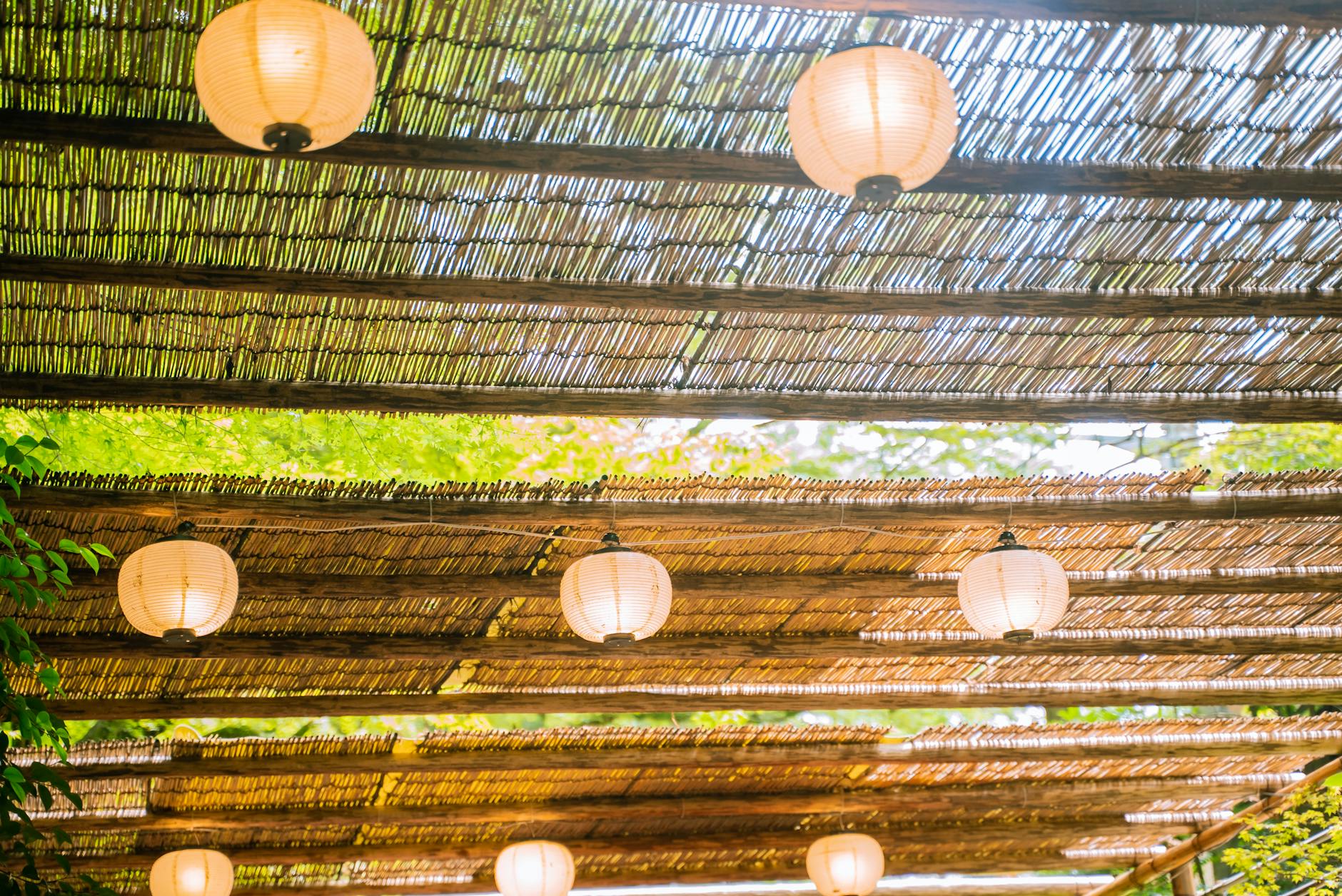 Lush green river valley in Kibune with flowing water between mossy rocks