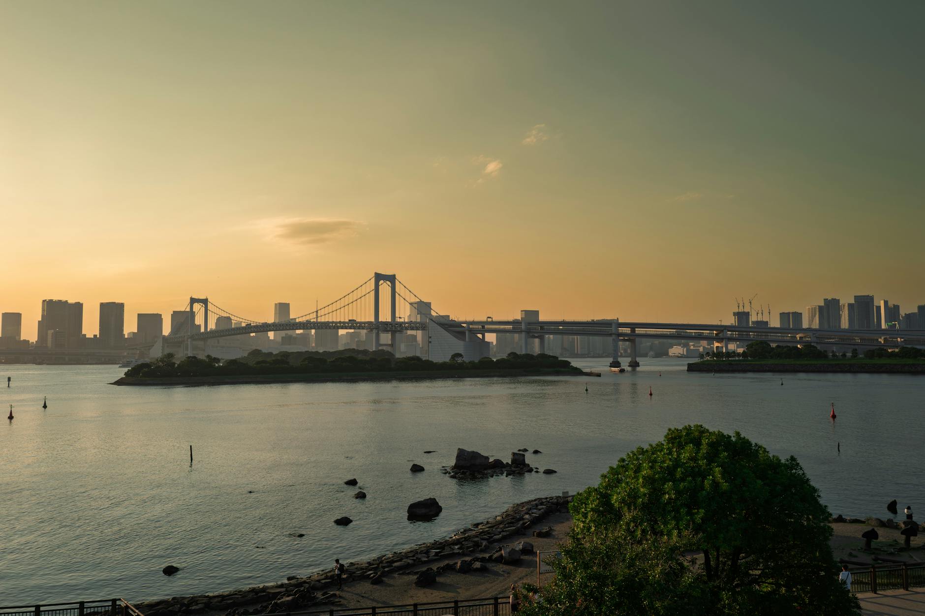Rainbow Bridge illuminated at night with Tokyo skyline in the background