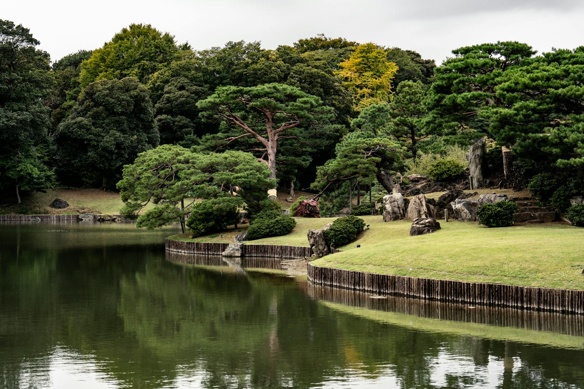 Serene Japanese garden with a reflective pond surrounded by lush greenery in Tokyo