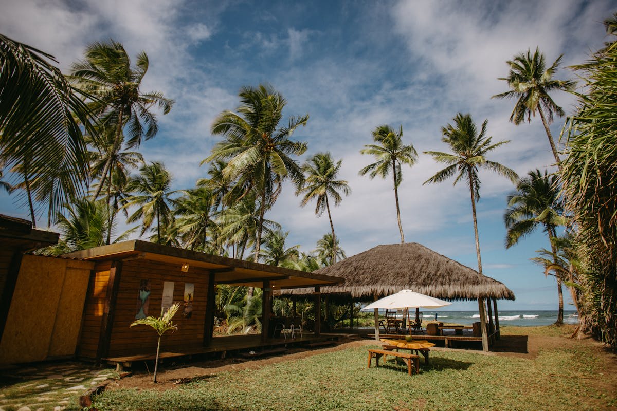 Palm-fringed coastline along Bahia's coconut coast