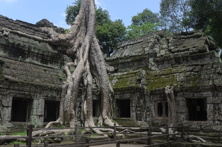 Tree roots growing over ancient temple walls at Ta Prohm