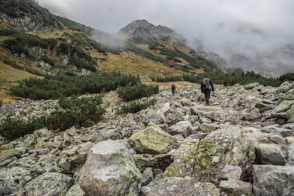 Hiking trail winding through alpine meadows with mountain peaks beyond
