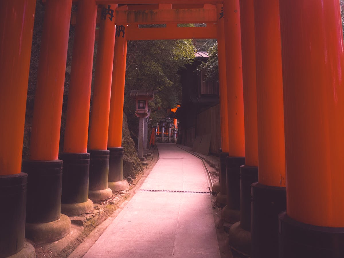 Vermillion torii gates lining the path at Fushimi Inari shrine