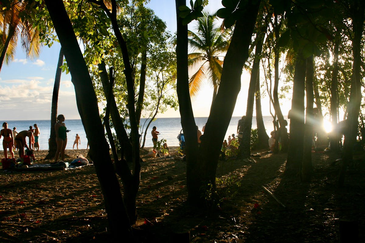 Turquoise Caribbean water and lush green coastline in Martinique