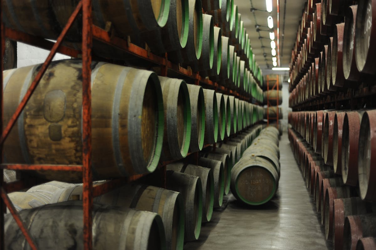 Aged rum barrels stacked in a Caribbean distillery warehouse