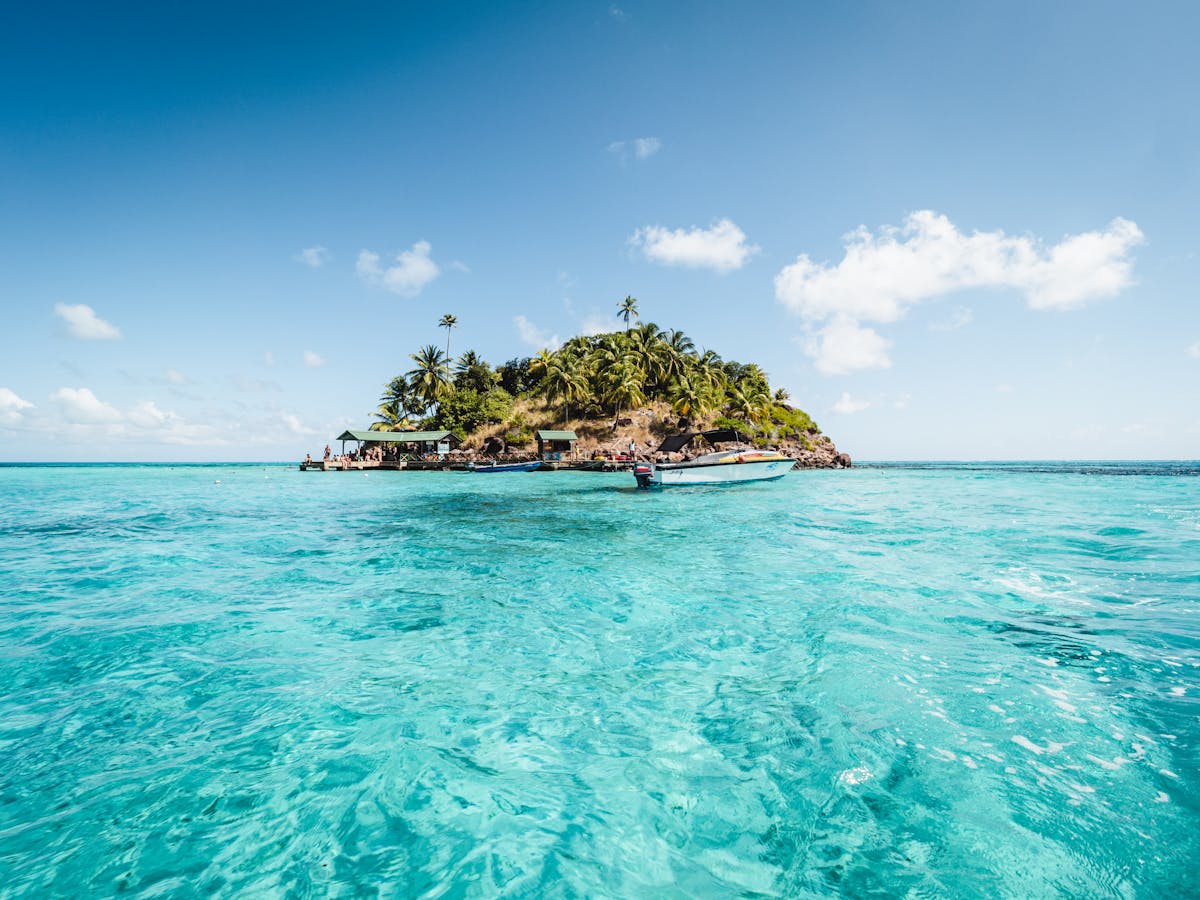 Palm trees and turquoise Caribbean water on a pristine island beach