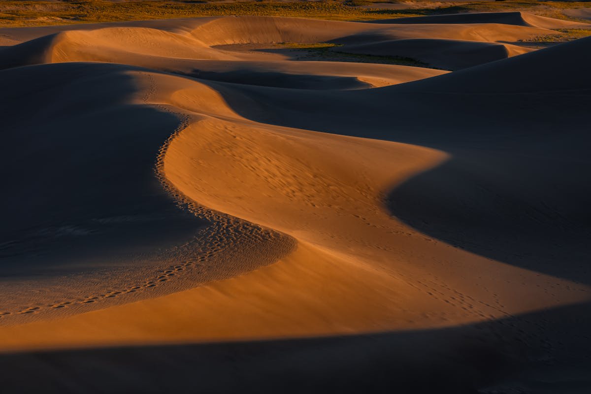 Golden desert dunes stretching to the horizon at sunset