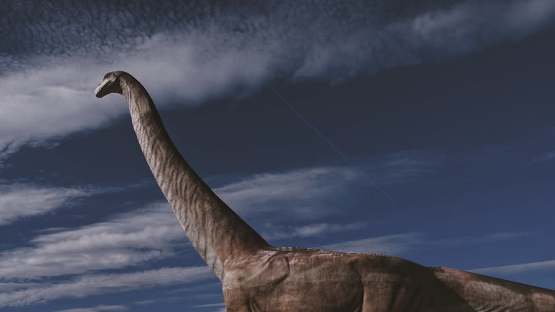 Le squelette imposant et reconstitué d'un titanosaure à l'intérieur du musée paléontologique MEF de Trelew