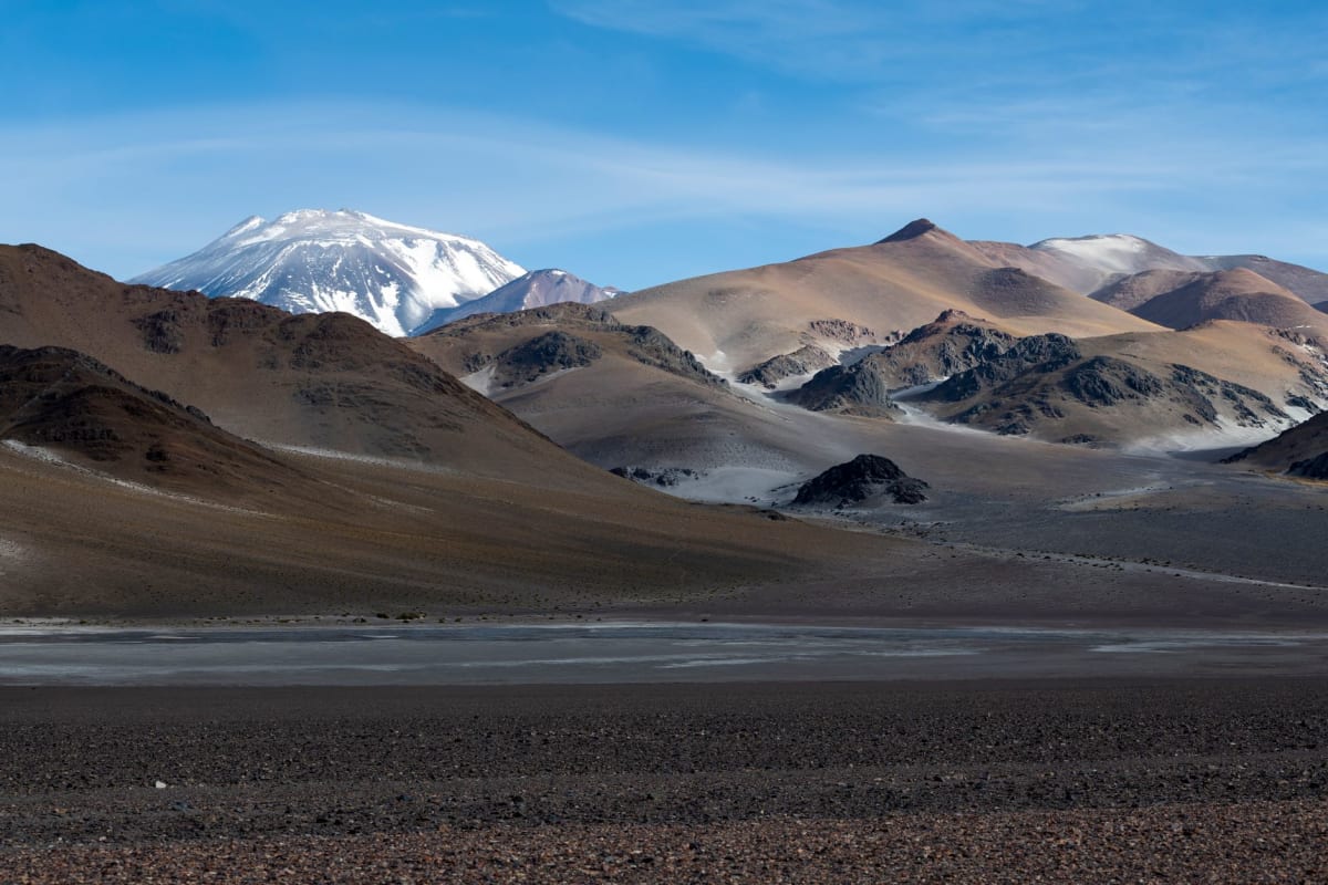 Árboles de queñua retorcidos y de corteza cobriza esparcidos por una ladera rocosa del altiplano con el Nevado Sajama al fondo.