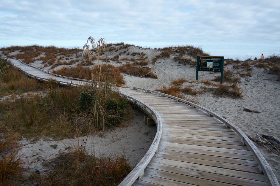 Passerelle serpentant à travers l'herbe des dunes vers la plage de l'île-barrière à Kouchibouguac