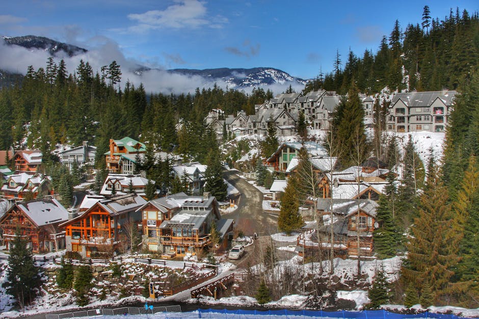 Snow-covered mountain slopes with ski runs cutting through alpine forest
