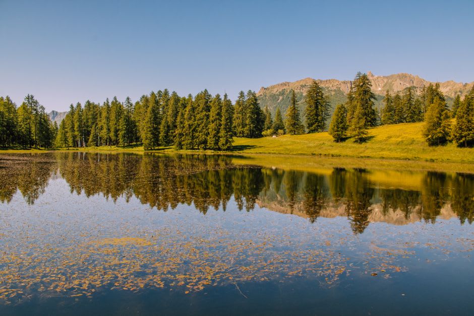 Alpine lake surrounded by dense pine forest with jagged peaks reflected in the still water