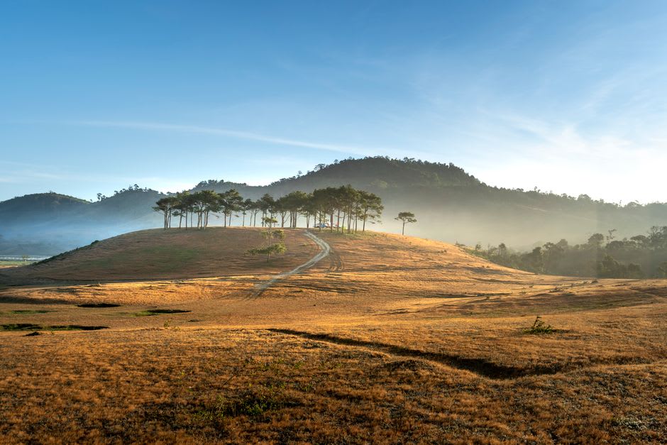 Luz dorada de la mañana extendiéndose sobre la vegetación de cerrado vista desde la cima de la roca con forma de ballena