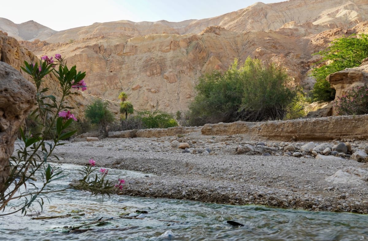 Le sentier Siq dans le Wadi Mujib, le canyon se rétrécissant à quelques mètres de large avec l'eau se précipitant entre les parois de grès rouge